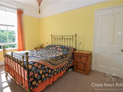 Picture 16